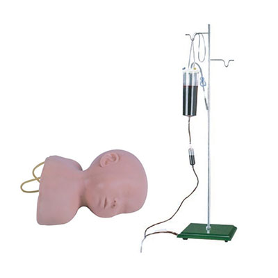 AM-G1-Infant-Scalp-Venipuncture-Training-Model.jpg