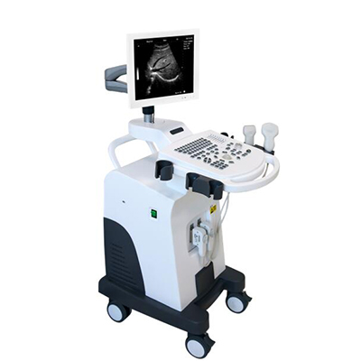 AM-K2-B-W-Digital-Ultrasound-Scanner.jpg
